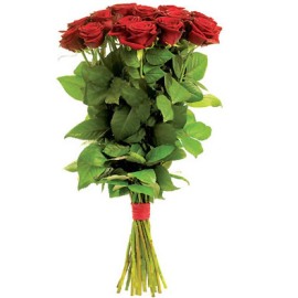 Red Regal Roses (80cm)