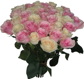 25 Pink & White Roses