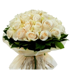 White Glory Roses